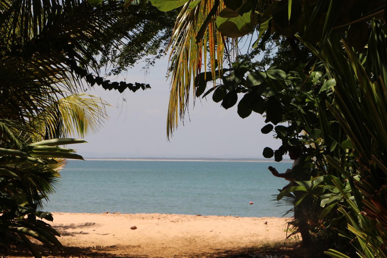 Coroaci Beach House Barra Grande  Εξωτερικό φωτογραφία