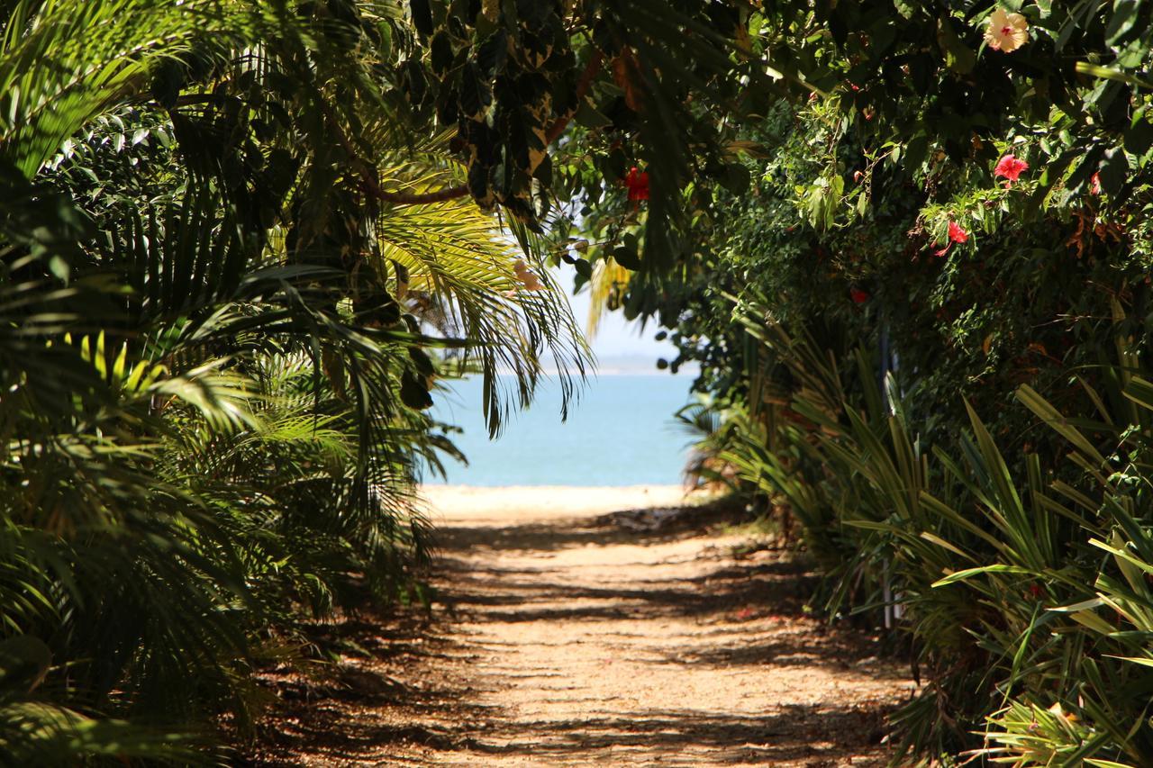 Coroaci Beach House Barra Grande  Εξωτερικό φωτογραφία